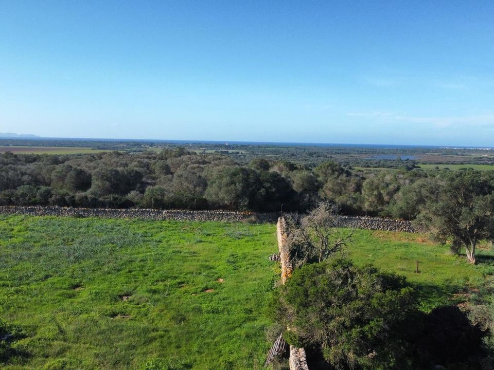 Helårsgrund i Ses Salines, Mallorca - foto 4