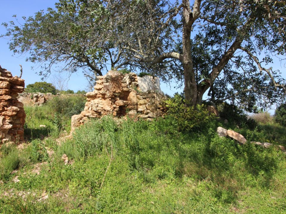 Ruinere i Tunes, Faro - foto 1