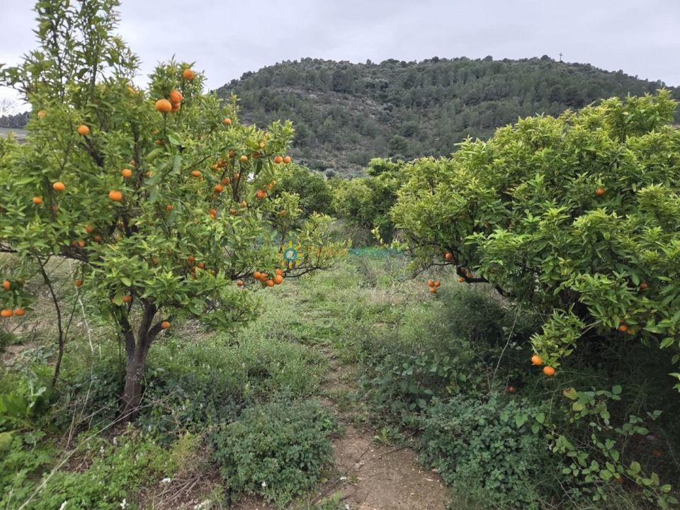 Helårsgrund i Rafelcofer, Valencia - foto 1
