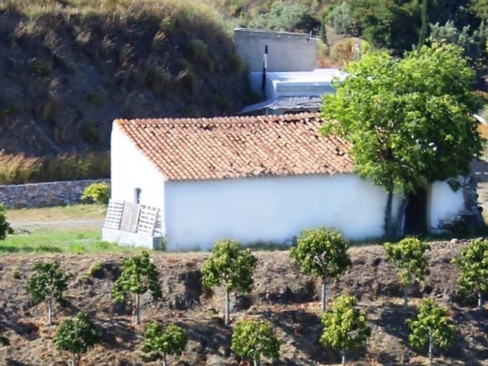 Landejendom i Frigiliana, Malaga - foto 3