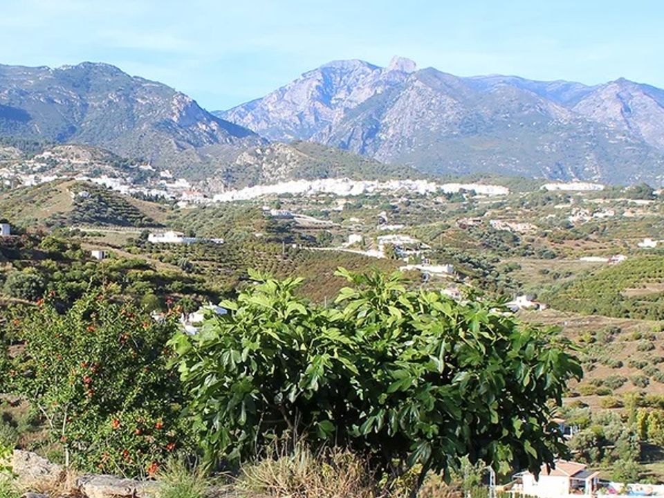 Landejendom i Frigiliana, Malaga - foto 2