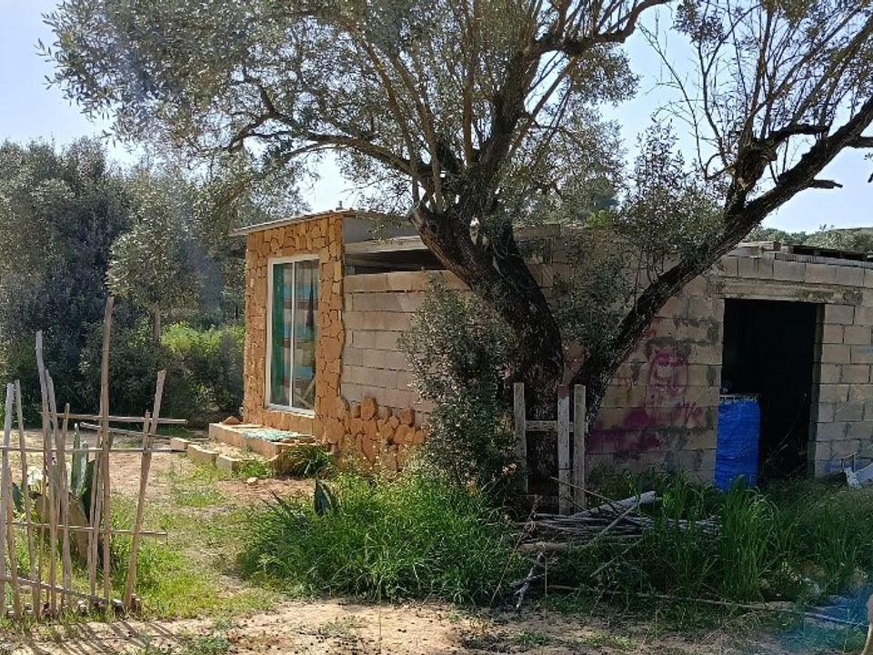 Finca i Ginestar, Tarragona - foto 5