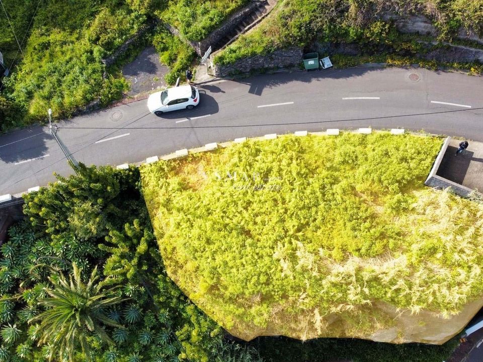 Helårsgrund i Ribeira Brava, Madeira - foto 4