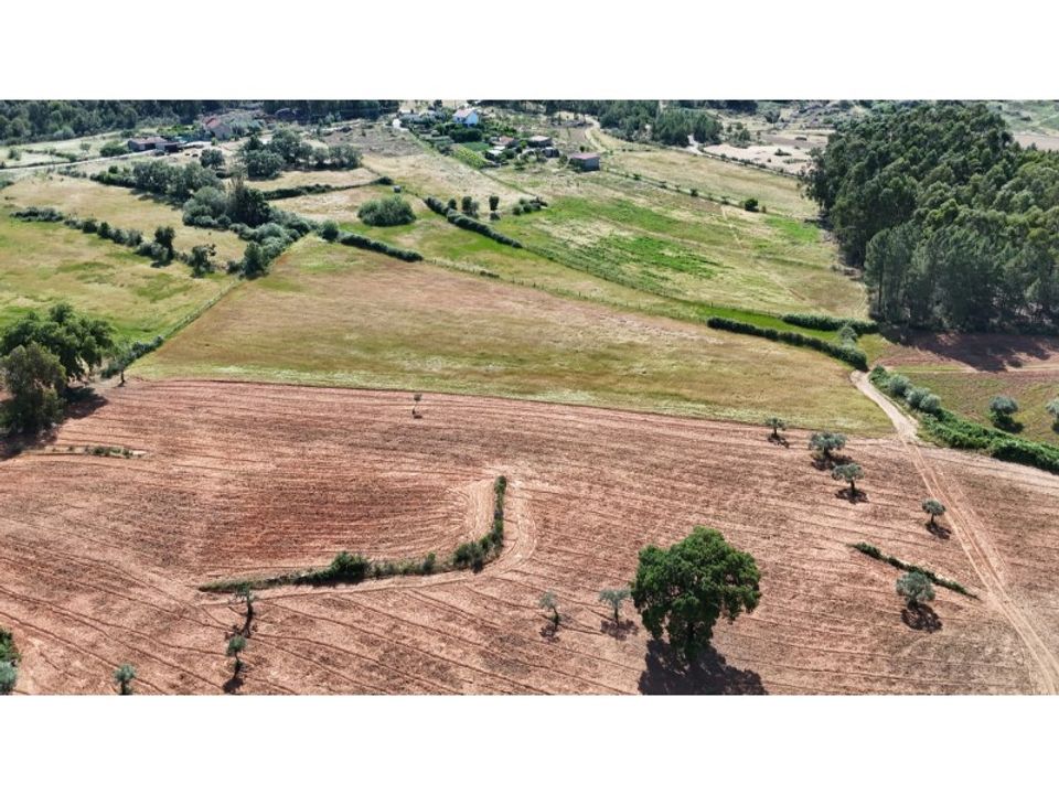 Farm i Vale de Prazeres e Mata da Rainha, Castelo Branco - foto 1