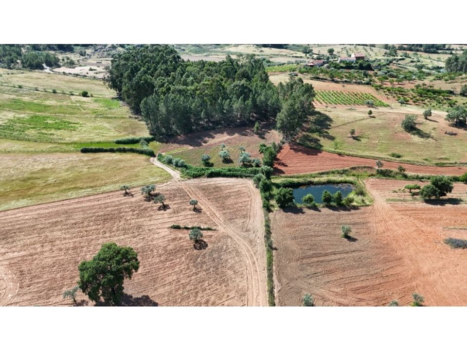 Farm i Vale de Prazeres e Mata da Rainha, Castelo Branco - foto 2
