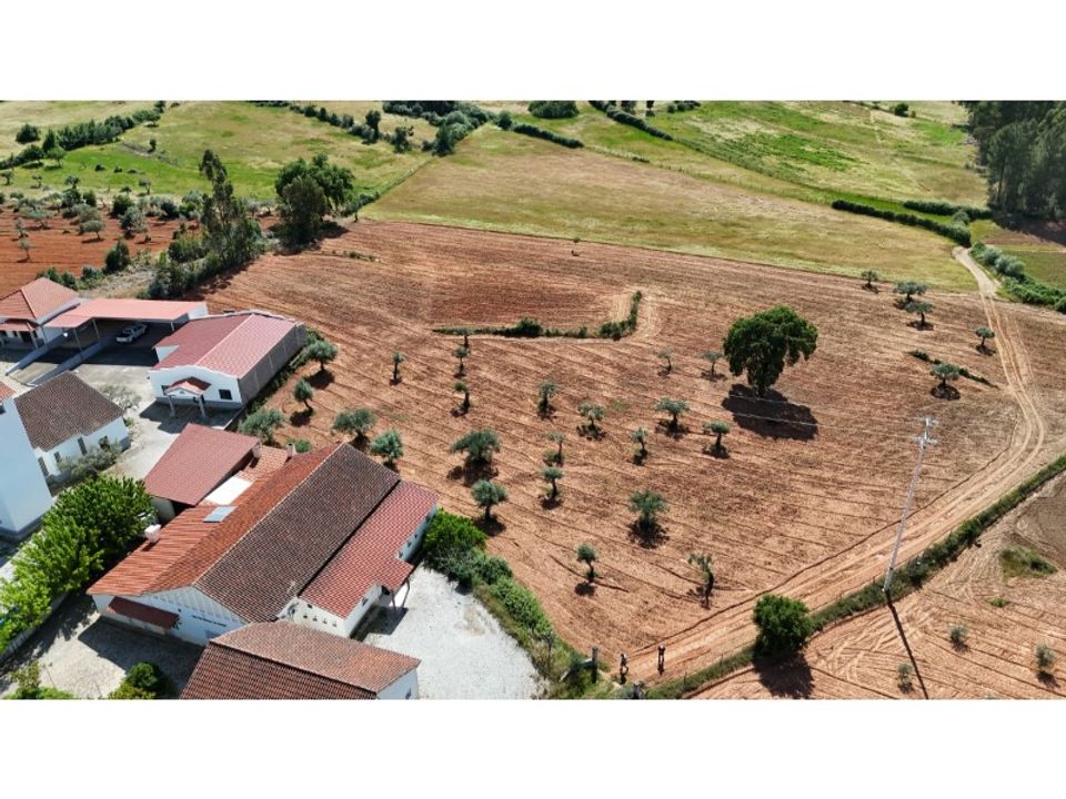 Farm i Vale de Prazeres e Mata da Rainha, Castelo Branco - foto 4