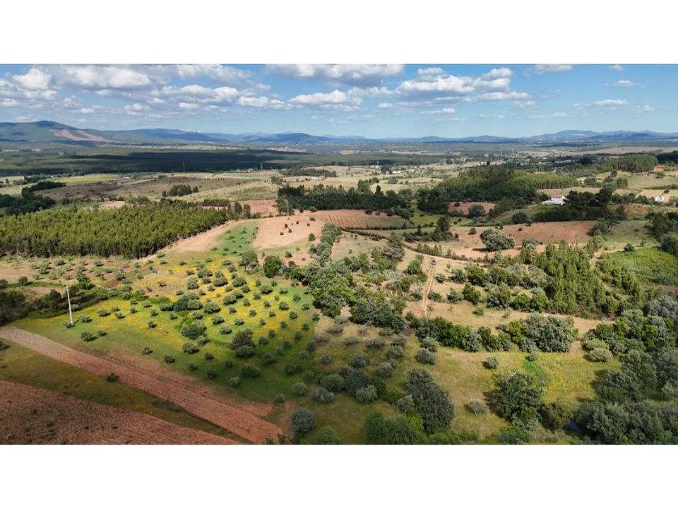 Gårdshus i Vale de Prazeres e Mata da Rainha, Castelo Branco - bilde 2