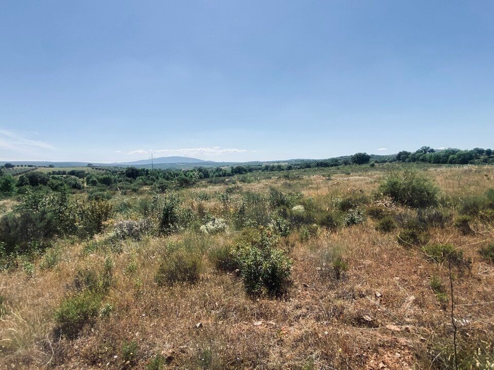Tomt i Talhinhas e Bagueixe, Braganca - bilde 3