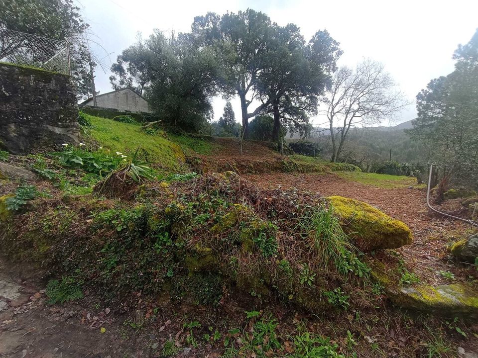 Helårsgrund i Valenca, Viana do Castelo - foto 3