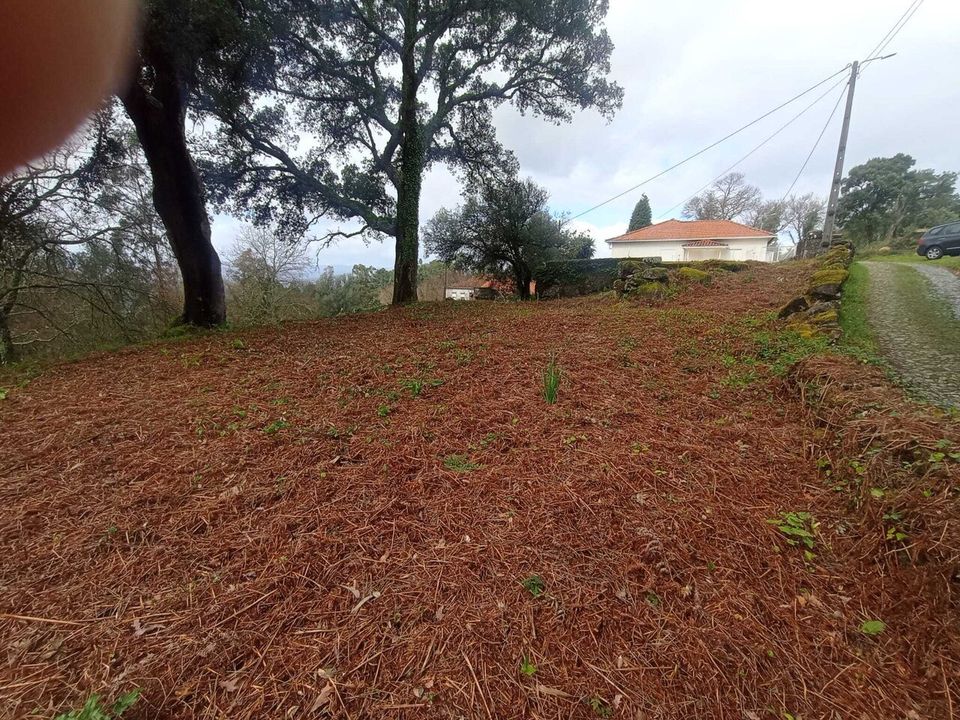 Helårsgrund i Valenca, Viana do Castelo - foto 4