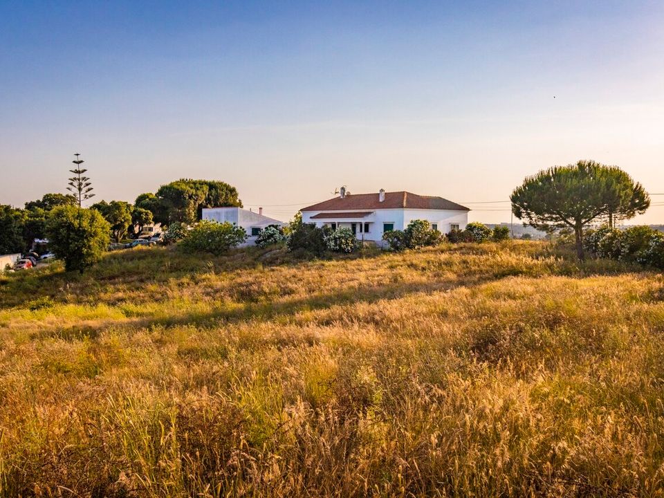 Farm i Pontevel, Santarem - foto 3