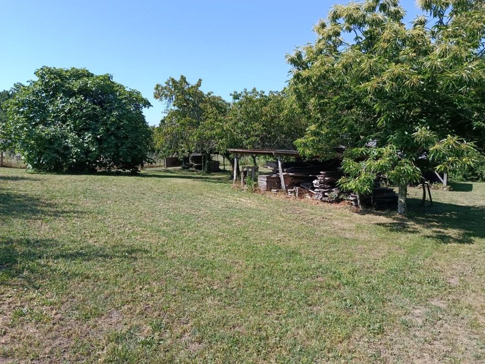 Terra a Saint-Thomas-De-Conac, Charente-Maritime - foto 2