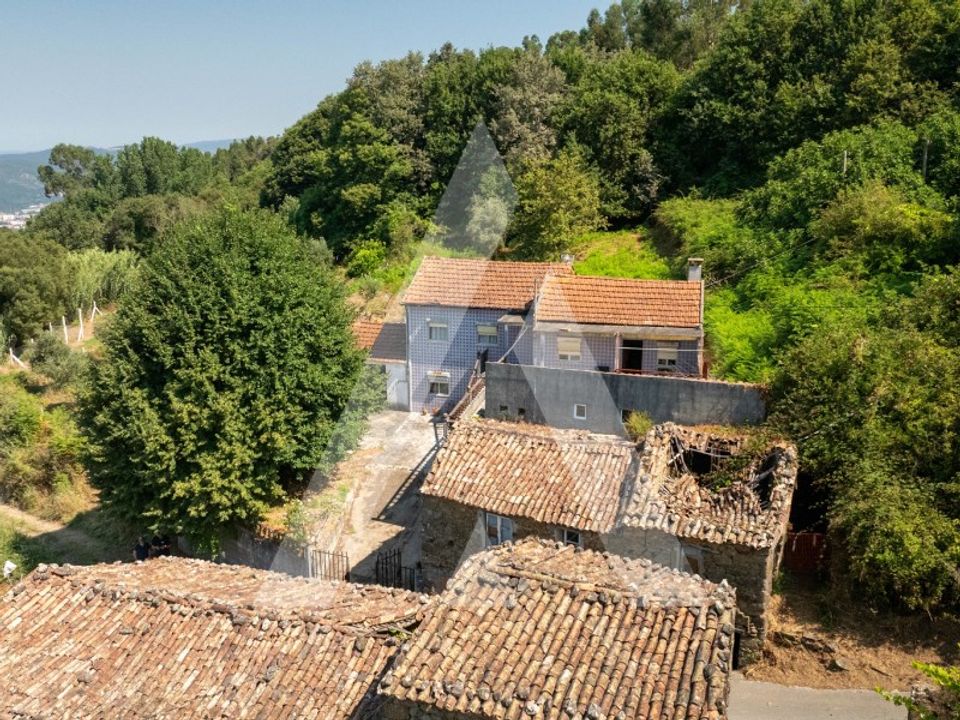 Farm i Miranda do Corvo, Coimbra - foto 3
