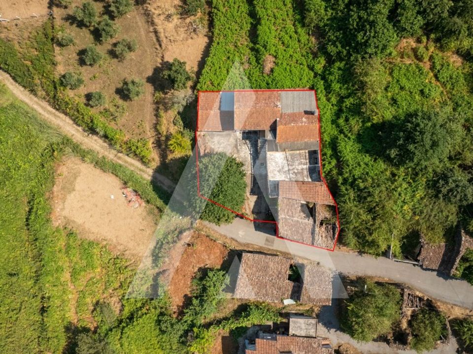 Farm i Miranda do Corvo, Coimbra - foto 4