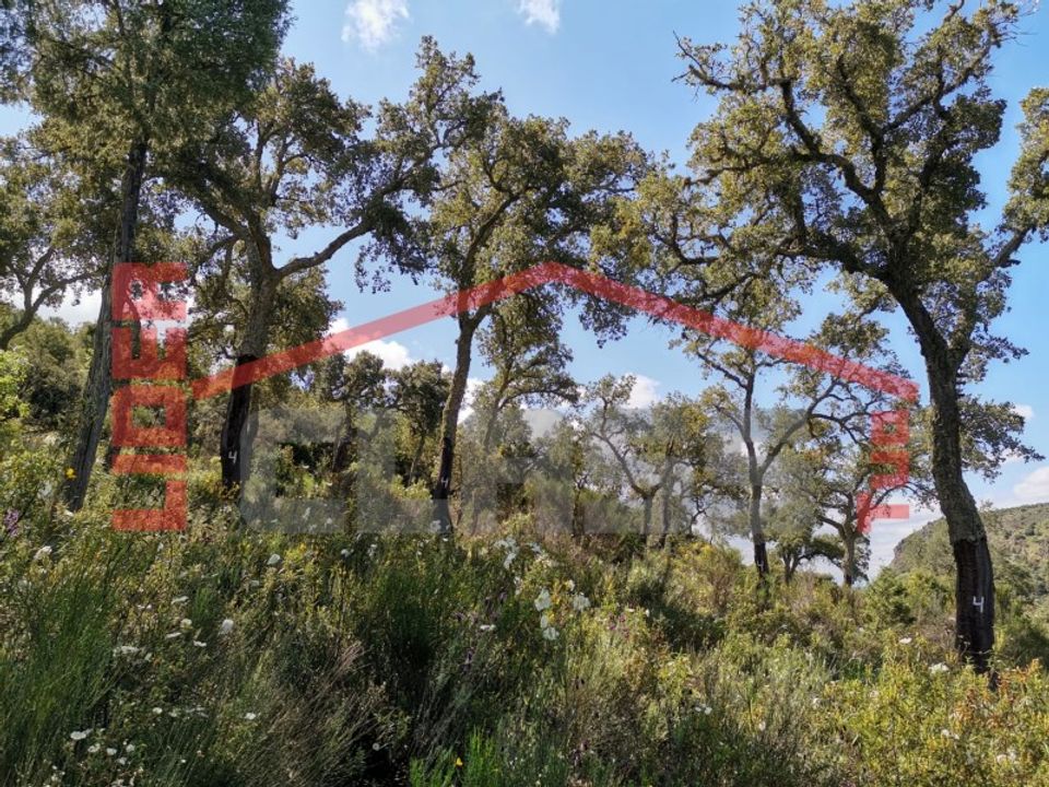 Helårsgrund i Mogadouro, Braganca - foto 1