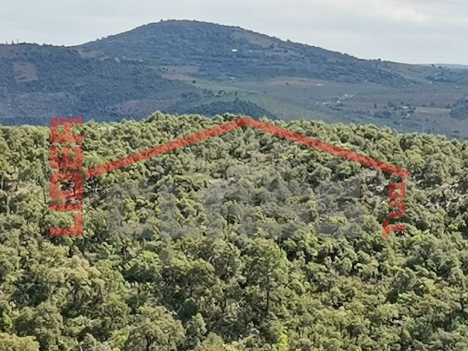 Helårsgrund i Mogadouro, Braganca - foto 3