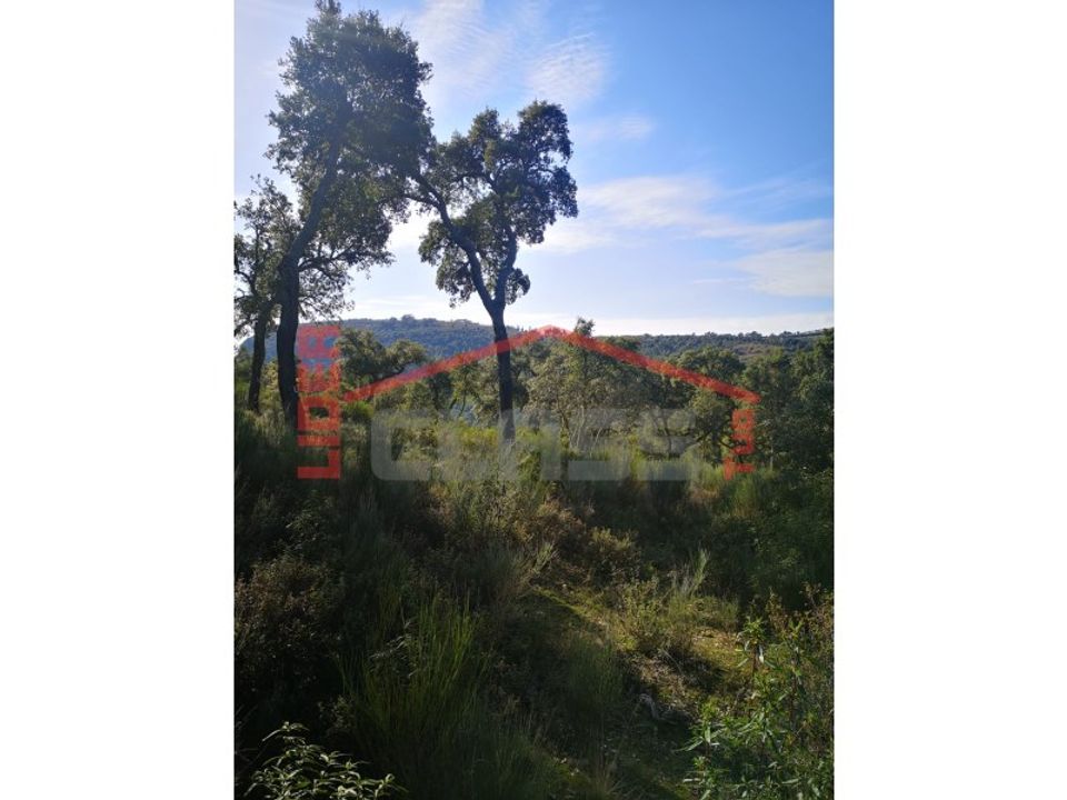 Helårsgrund i Mogadouro, Braganca - foto 5