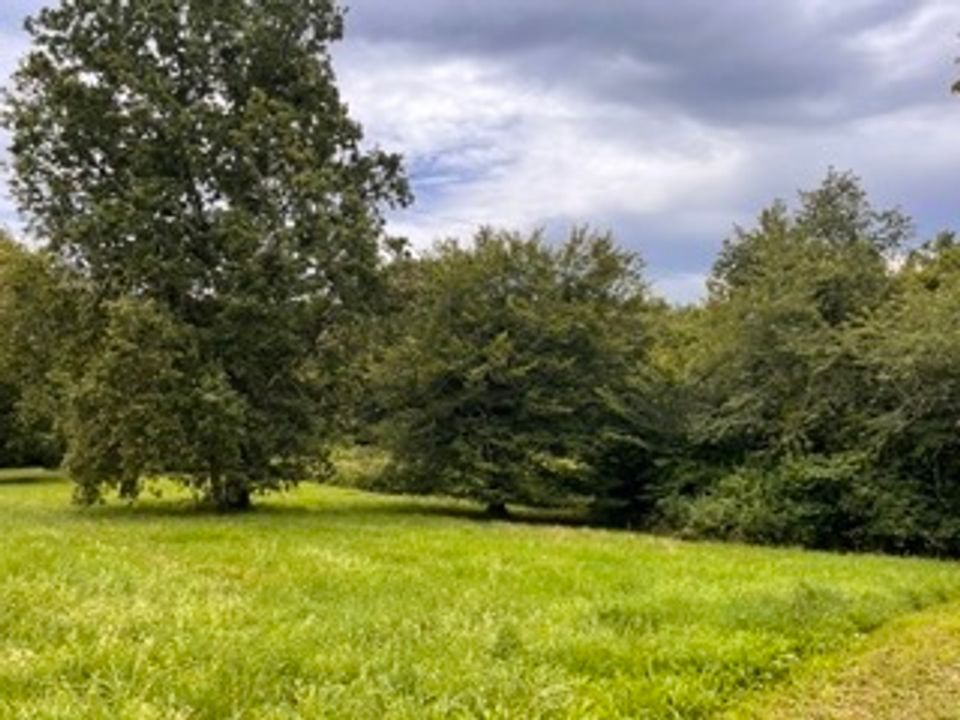 Terreno en Camarsac, Gironde - foto 1