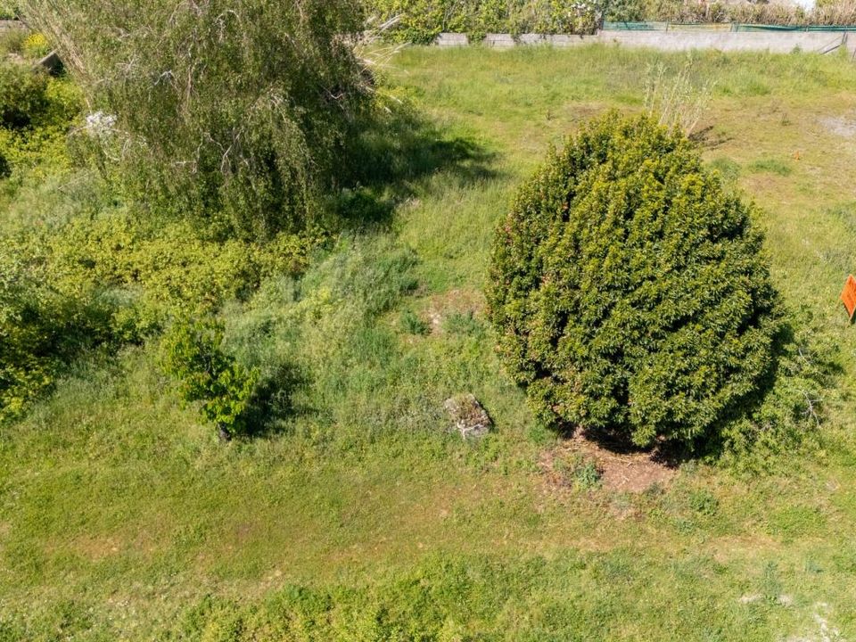 Terra a La Guérinière, Vendee - foto 3