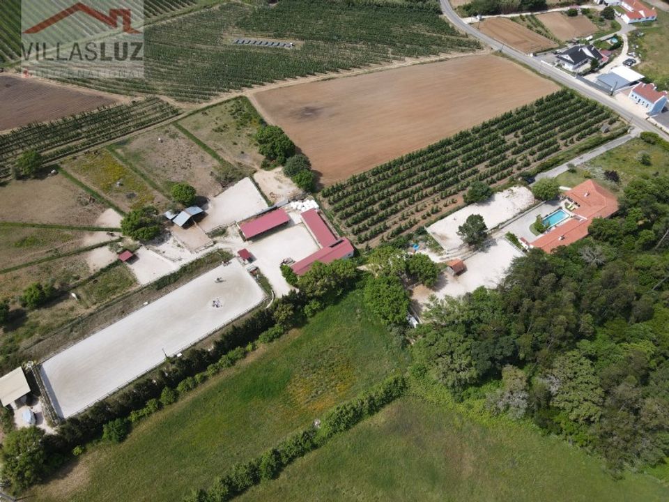Granja a Alcobaca, Leiria - foto 3