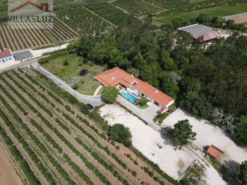 Granja a Alcobaca, Leiria - foto 4