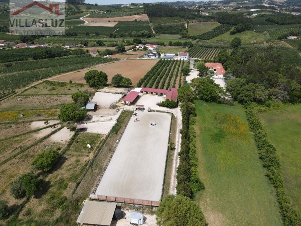 Granja a Alcobaca, Leiria - foto 5
