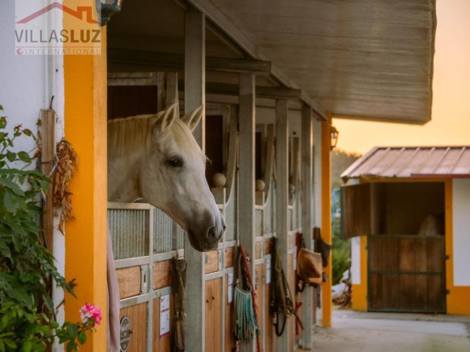 Farm i Alcobaca, Leiria - foto 1