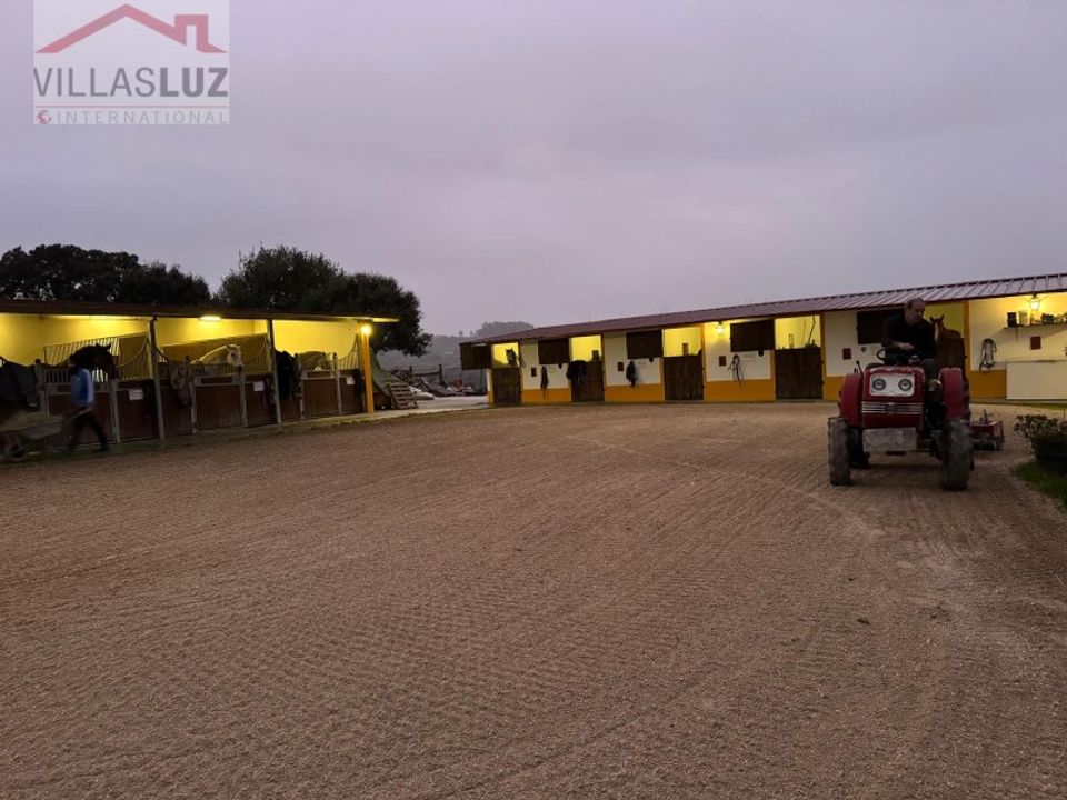 Farm i Alcobaca, Leiria - foto 3