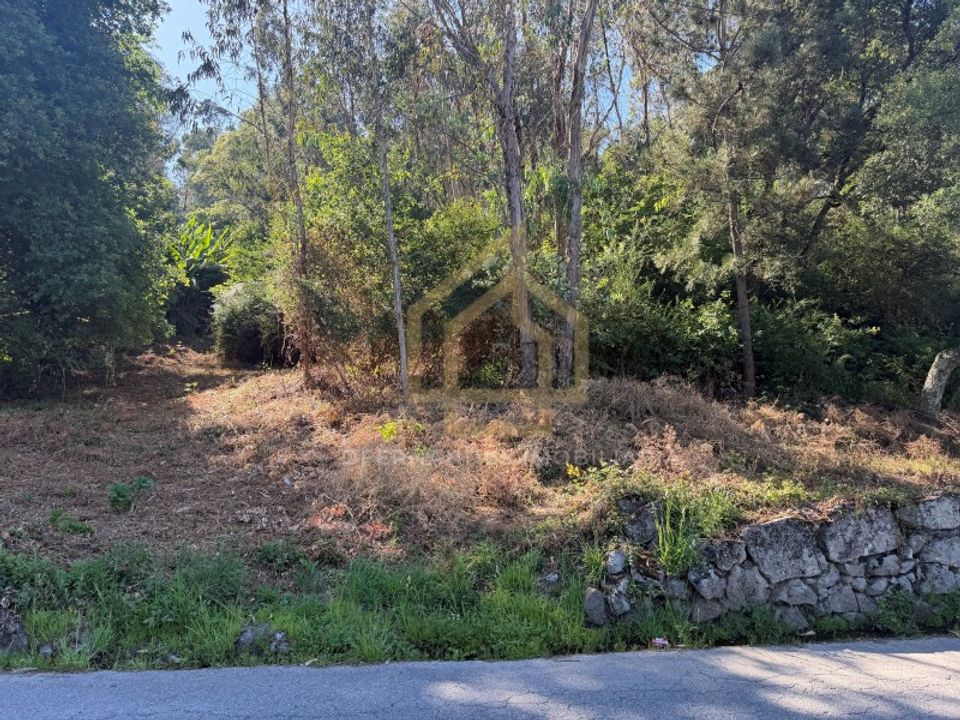 Grond in Campo e Tamel, Braga - foto 4
