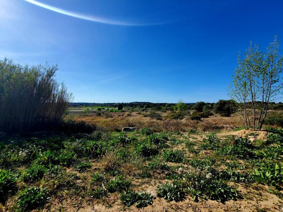 Helårsgrund i Loupian, Herault - foto 4