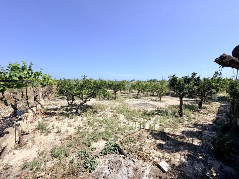 Landejendom i La Marina, Alicante - foto 3