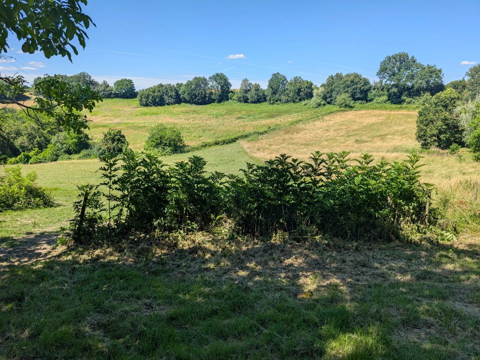 Villa i Agen, Lot-et-Garonne - foto 4