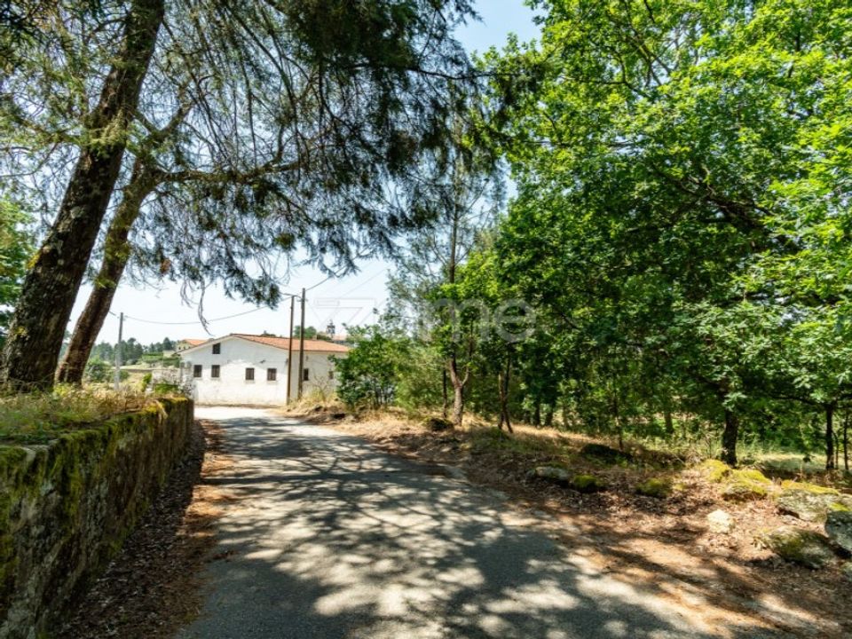 Helårsgrund i Canas de Senhorim, Viseu - foto 4