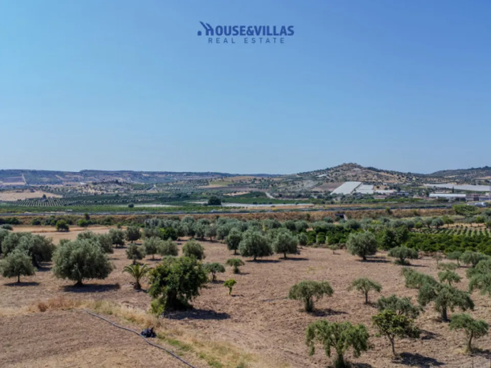 Terra a Noto, Siracusa - foto 2