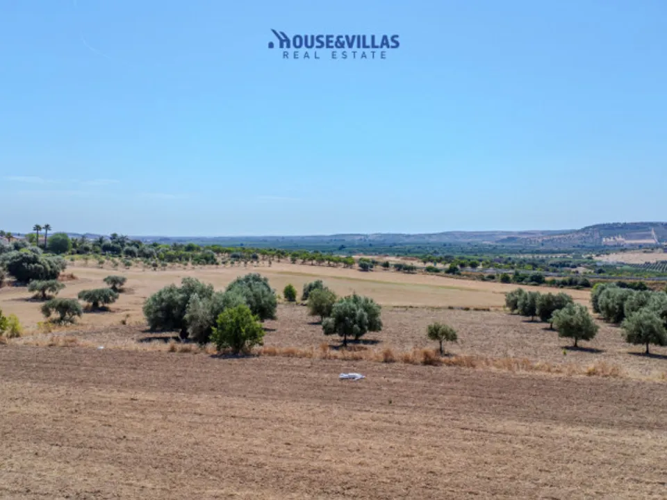 Terra a Noto, Siracusa - foto 5