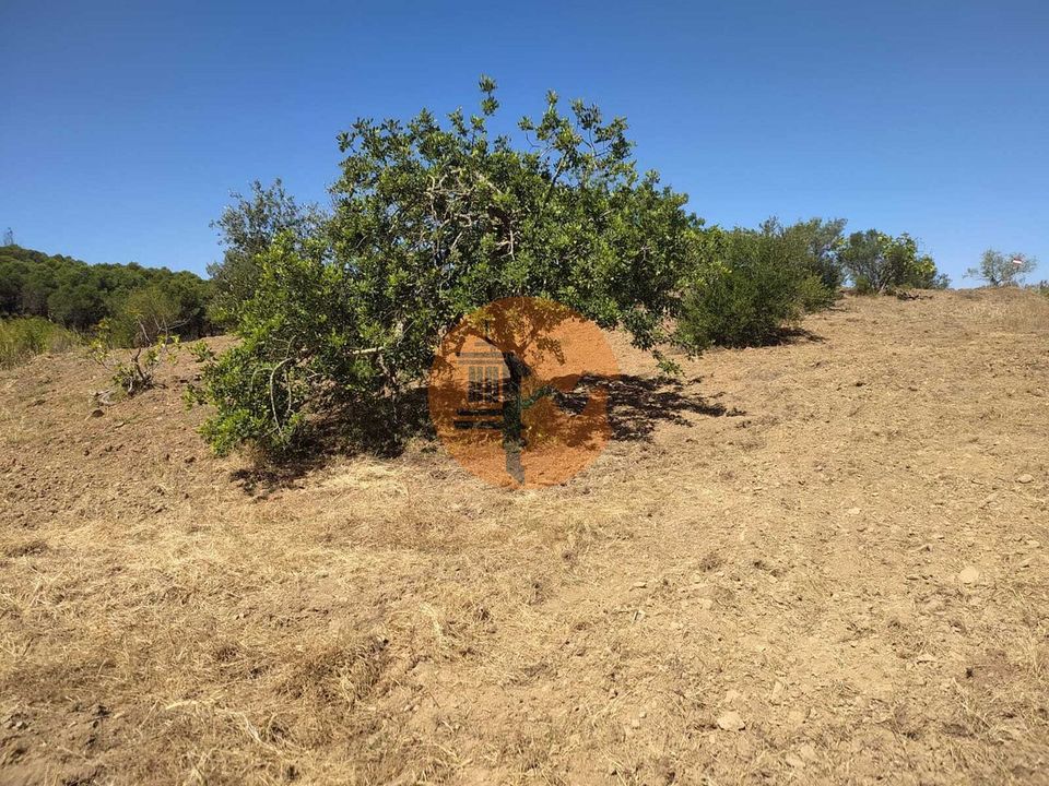 Helårsgrund i Castro Marim, Faro - foto 5