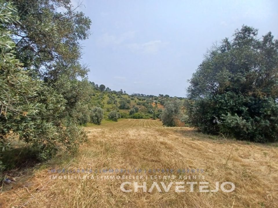 Terreno en Tomar, Santarem - foto 1