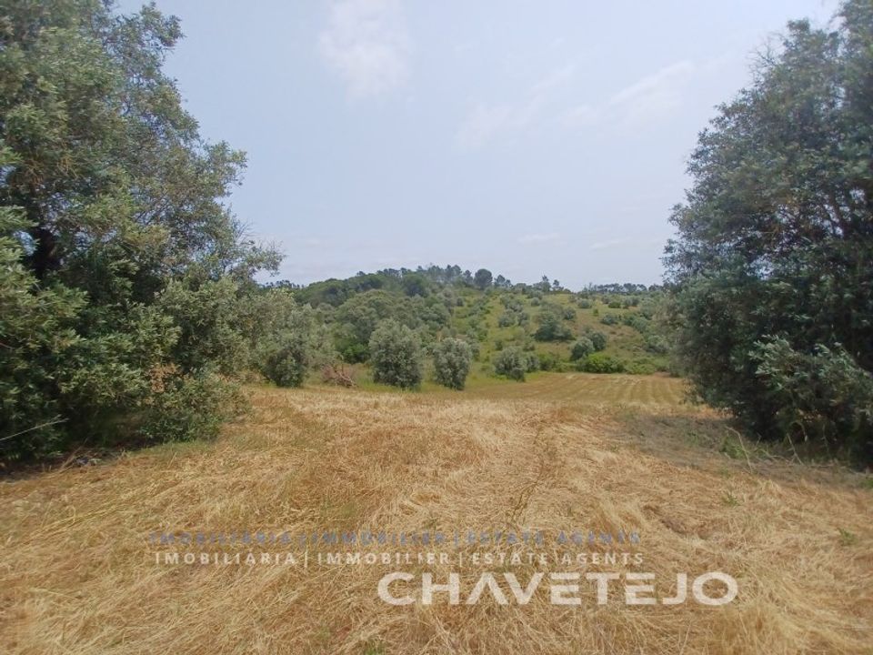 Terreno en Tomar, Santarem - foto 2