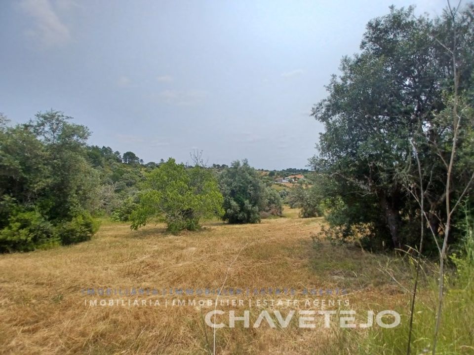 Terreno en Tomar, Santarem - foto 3
