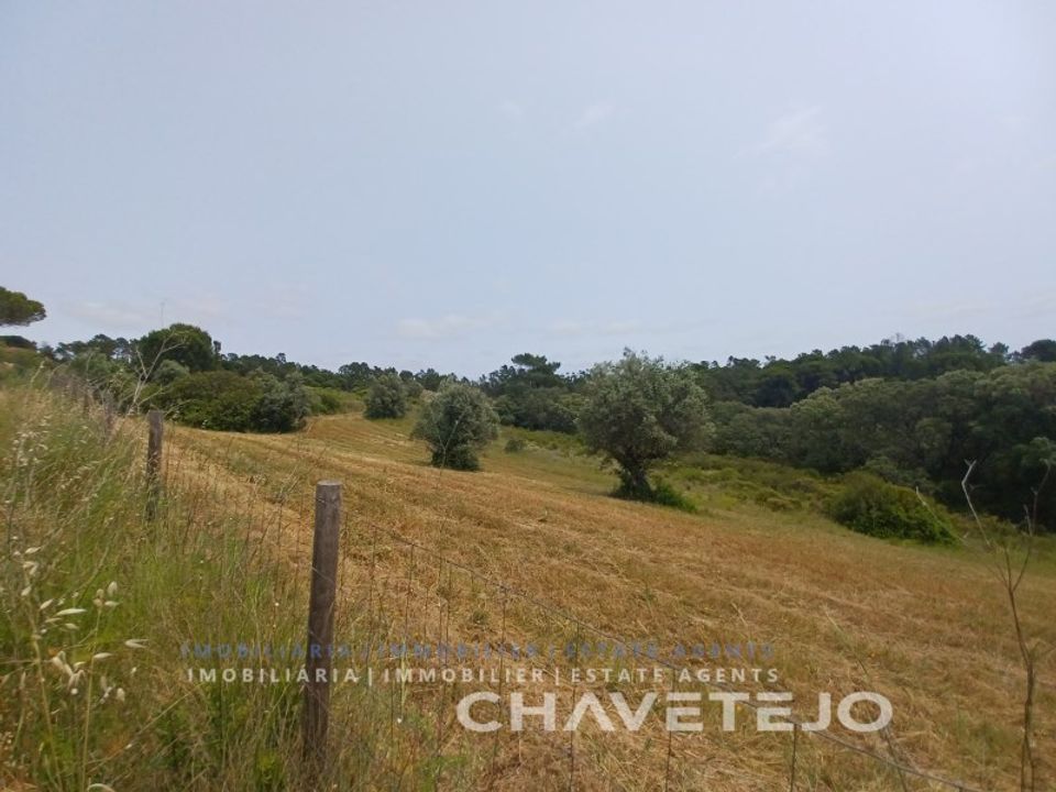 Terreno en Tomar, Santarem - foto 4
