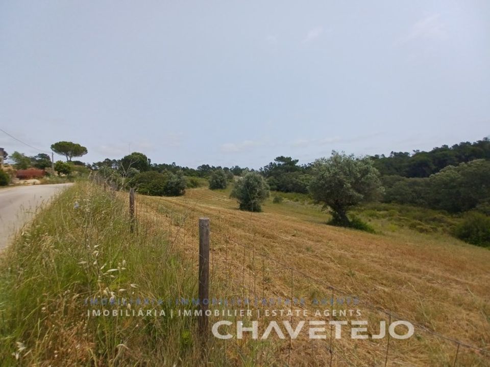 Terreno en Tomar, Santarem - foto 5