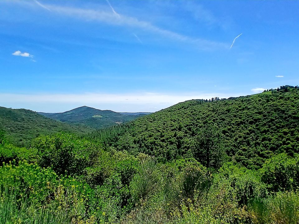 Villa a Roquebrun, Herault - foto 3