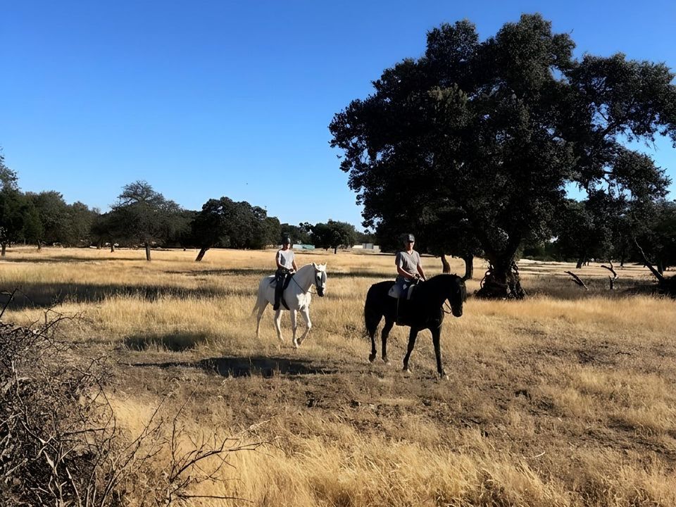 Tomt i Badajoz, Badajoz - bilde 1