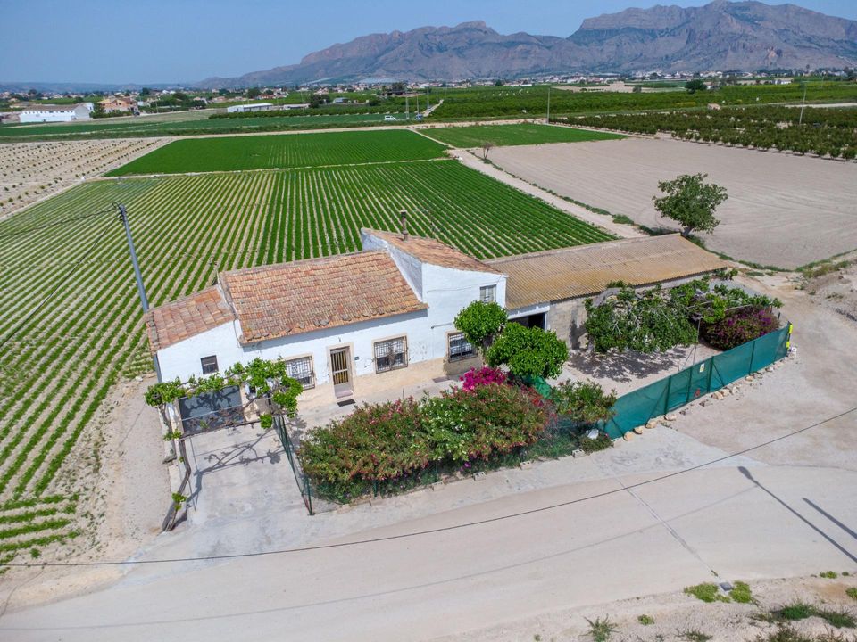 Finca i Orihuela, Alicante - foto 2