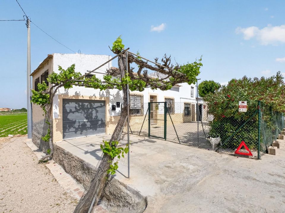 Finca i Orihuela, Alicante - foto 3
