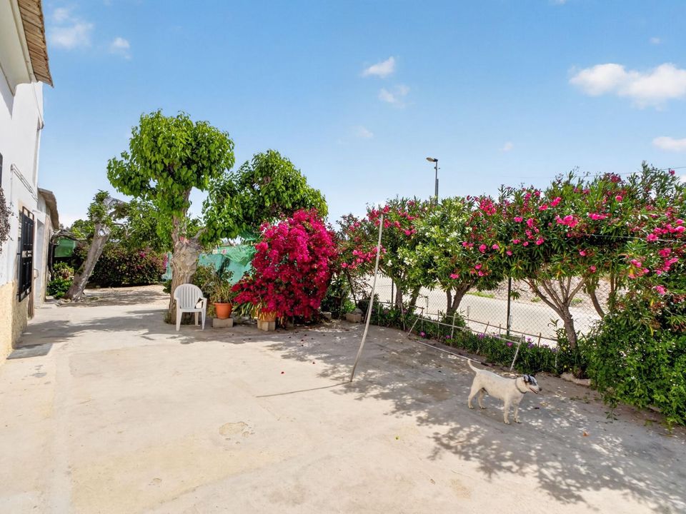 Finca i Orihuela, Alicante - foto 5