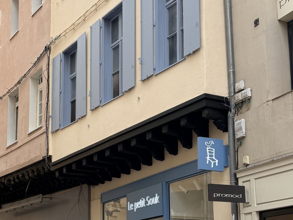 Erhvervsejendom i Perpignan, Pyrenees-Orientales - foto 4