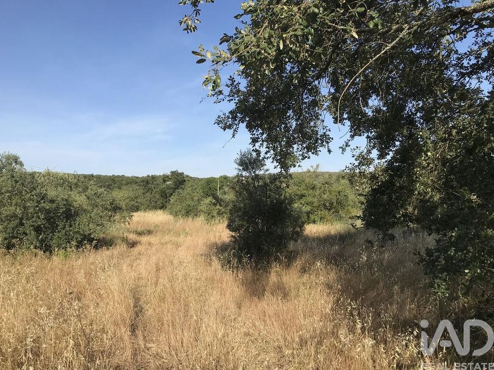 Helårsgrund i Ferreira do Zezere, Santarem - foto 1
