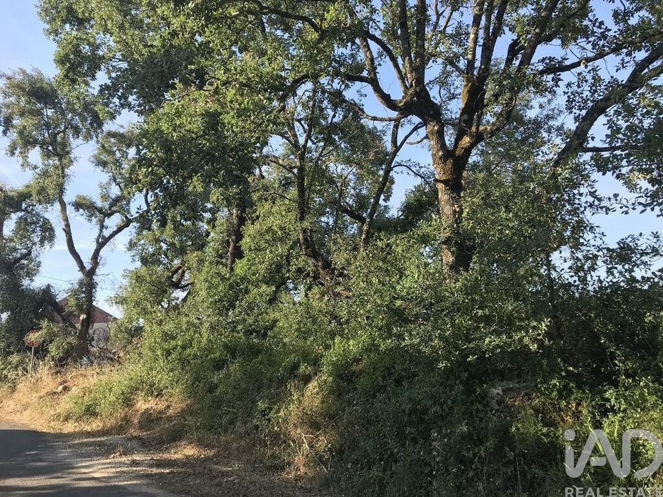 Helårsgrund i Ferreira do Zezere, Santarem - foto 2