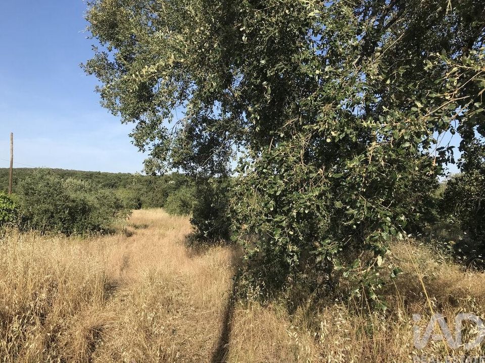 Helårsgrund i Ferreira do Zezere, Santarem - foto 3